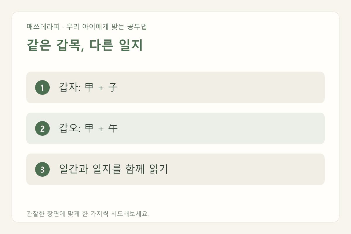 같은 갑목, 다른 일지