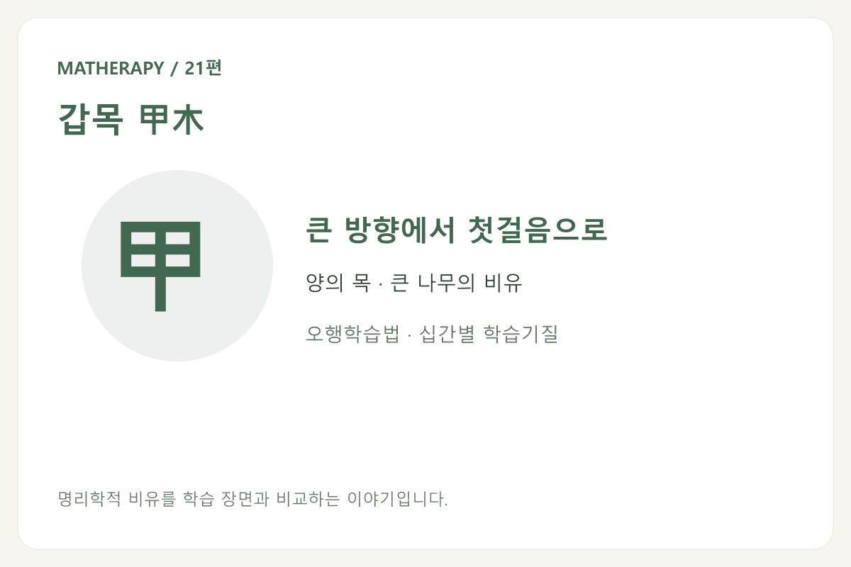 갑목 甲木 — 큰 방향에서 첫걸음으로 — 양의 목 · 큰 나무의 비유