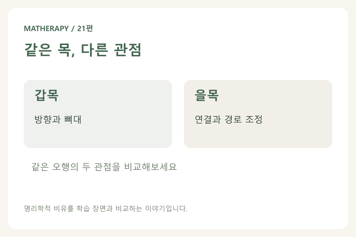 같은 목, 다른 관점 — 갑목 · 방향과 뼈대 — 을목 · 연결과 경로 조정