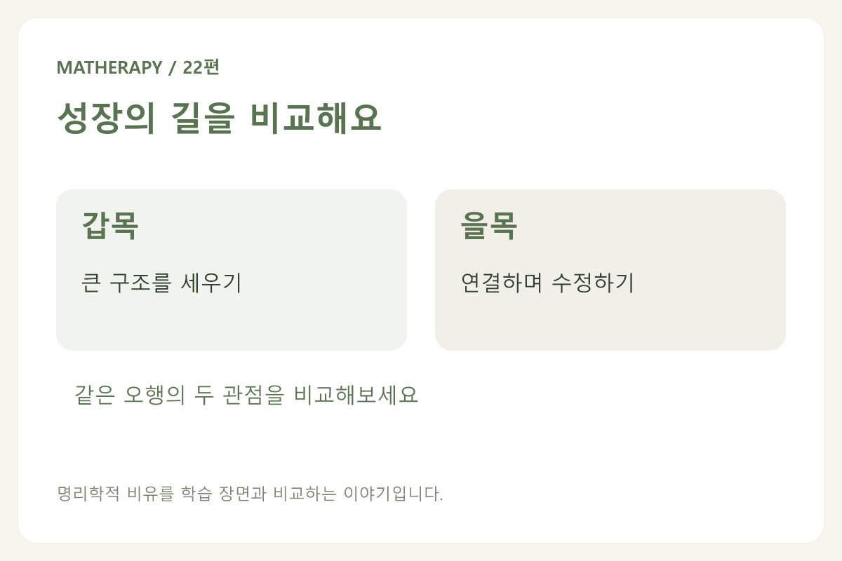 성장의 길을 비교해요 — 갑목 · 큰 구조를 세우기 — 을목 · 연결하며 수정하기