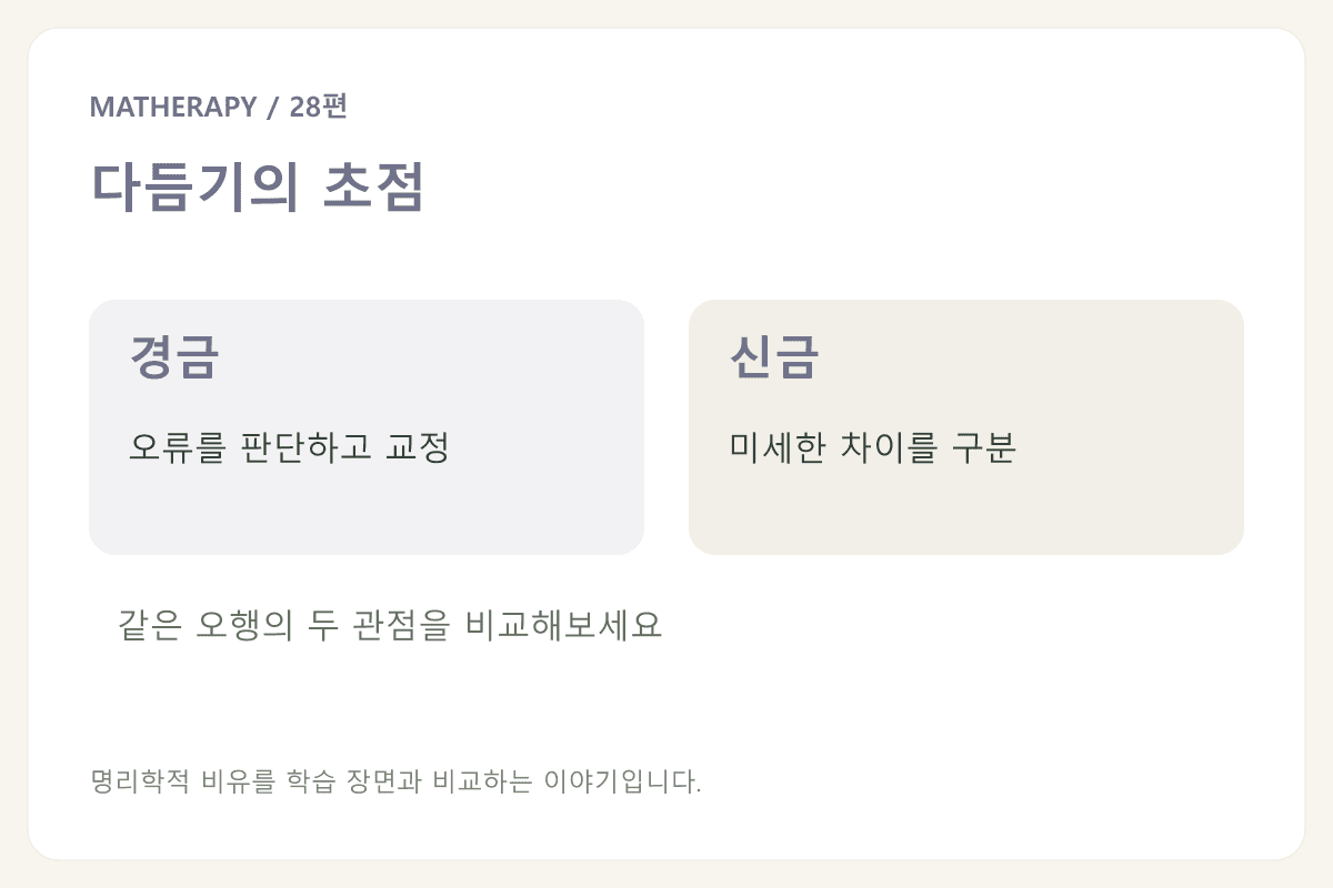 다듬기의 초점 — 경금 · 오류를 판단하고 교정 — 신금 · 미세한 차이를 구분