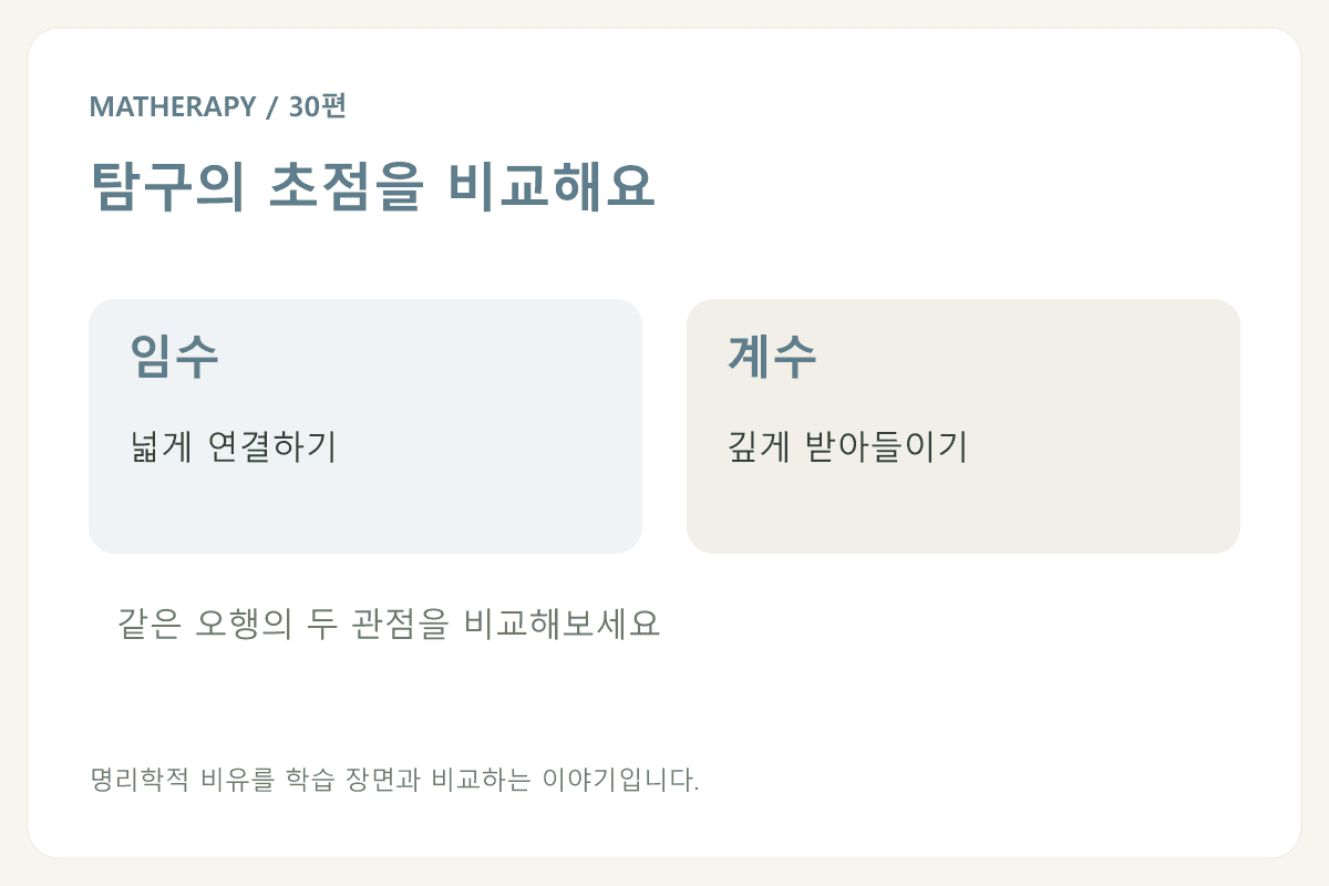 탐구의 초점을 비교해요 — 임수 · 넓게 연결하기 — 계수 · 깊게 받아들이기